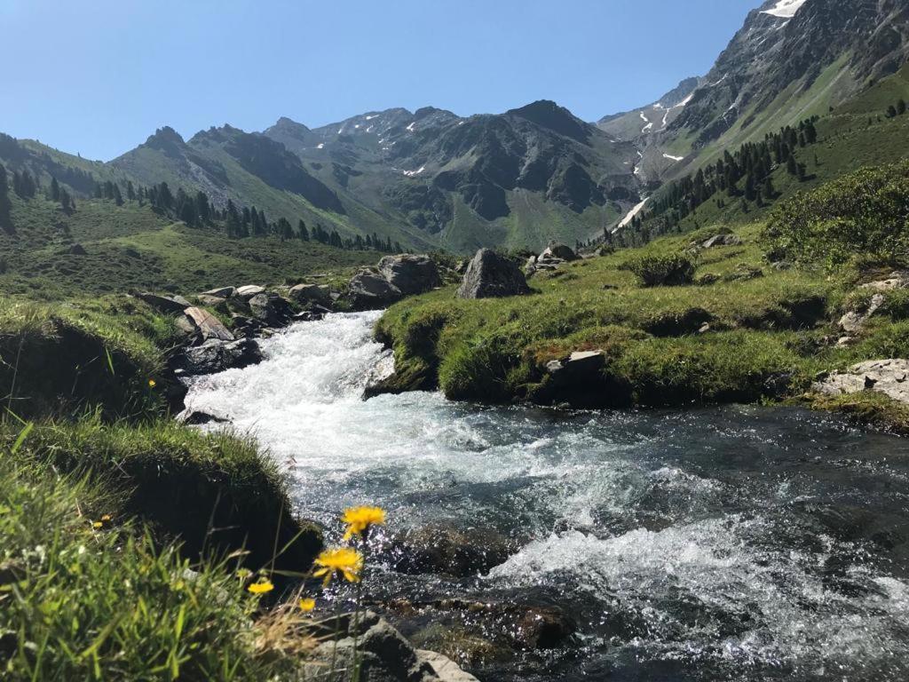 Der Grosse Stadl Längenfeld Buitenkant foto